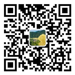 在线购彩Welcome
